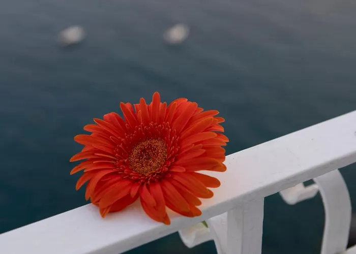 La Ninfa Готель Амальфі